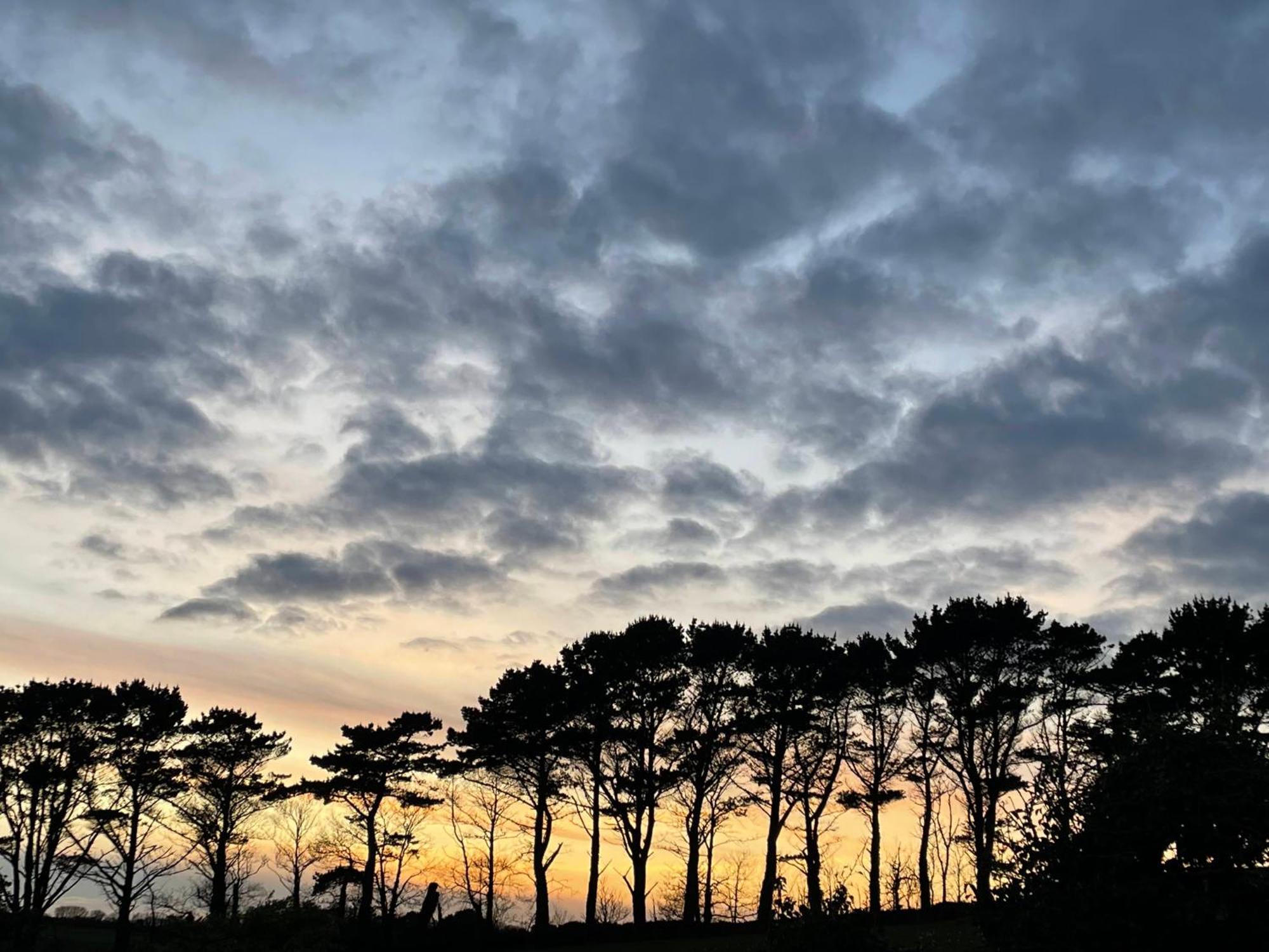 Fowey River Views Dış mekan fotoğraf